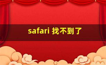 safari 找不到了